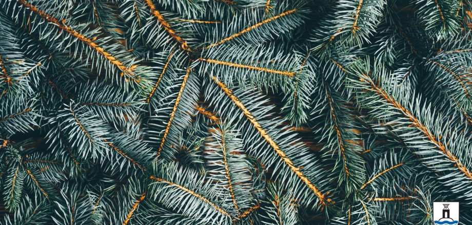 Fir green