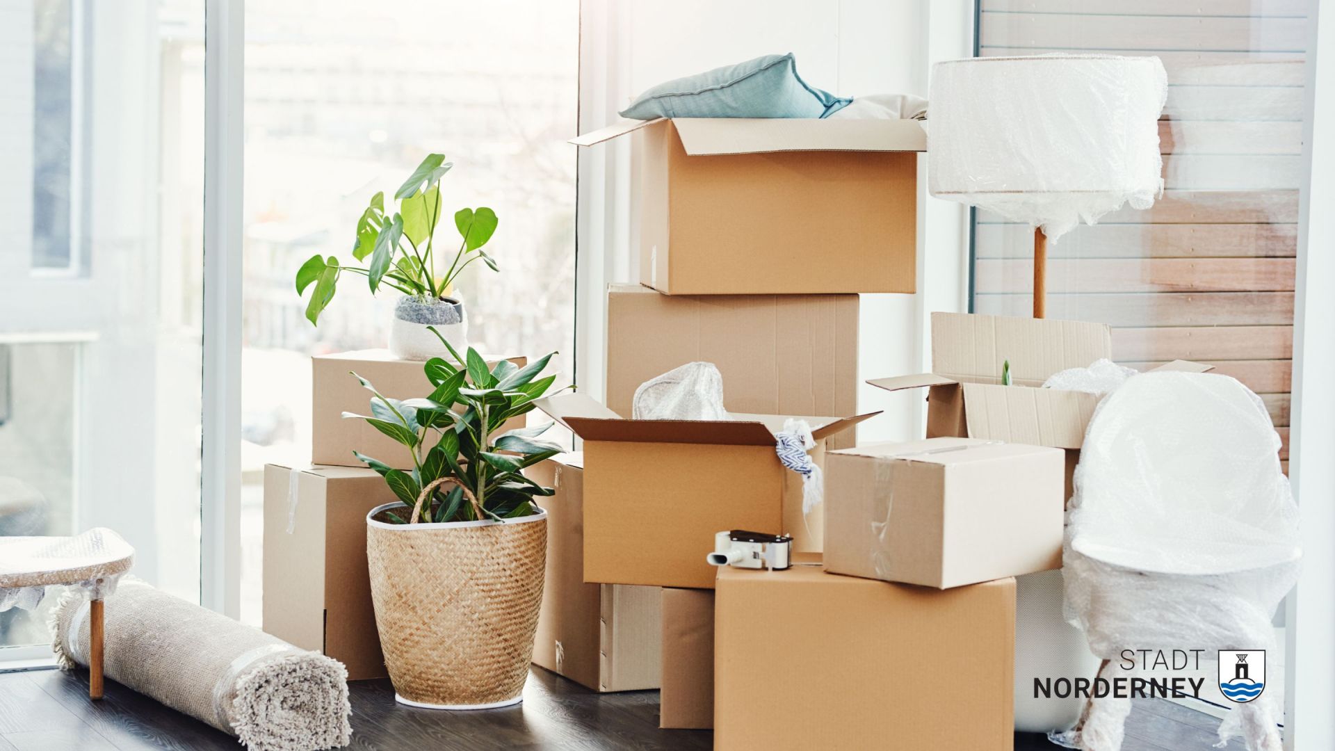 Das Foto zeigt eine Umzugssituation