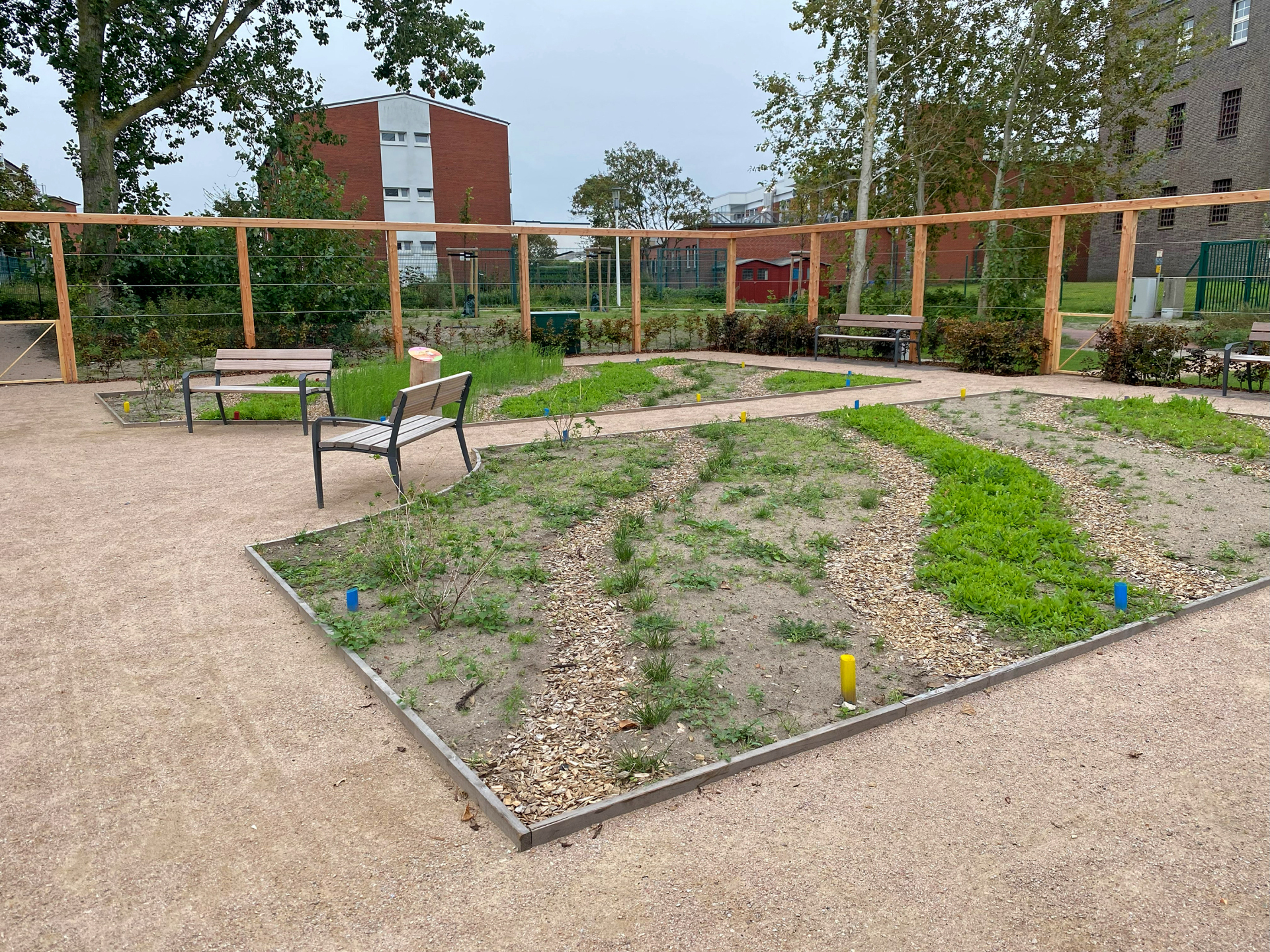 Blühfeld im Generationenpark