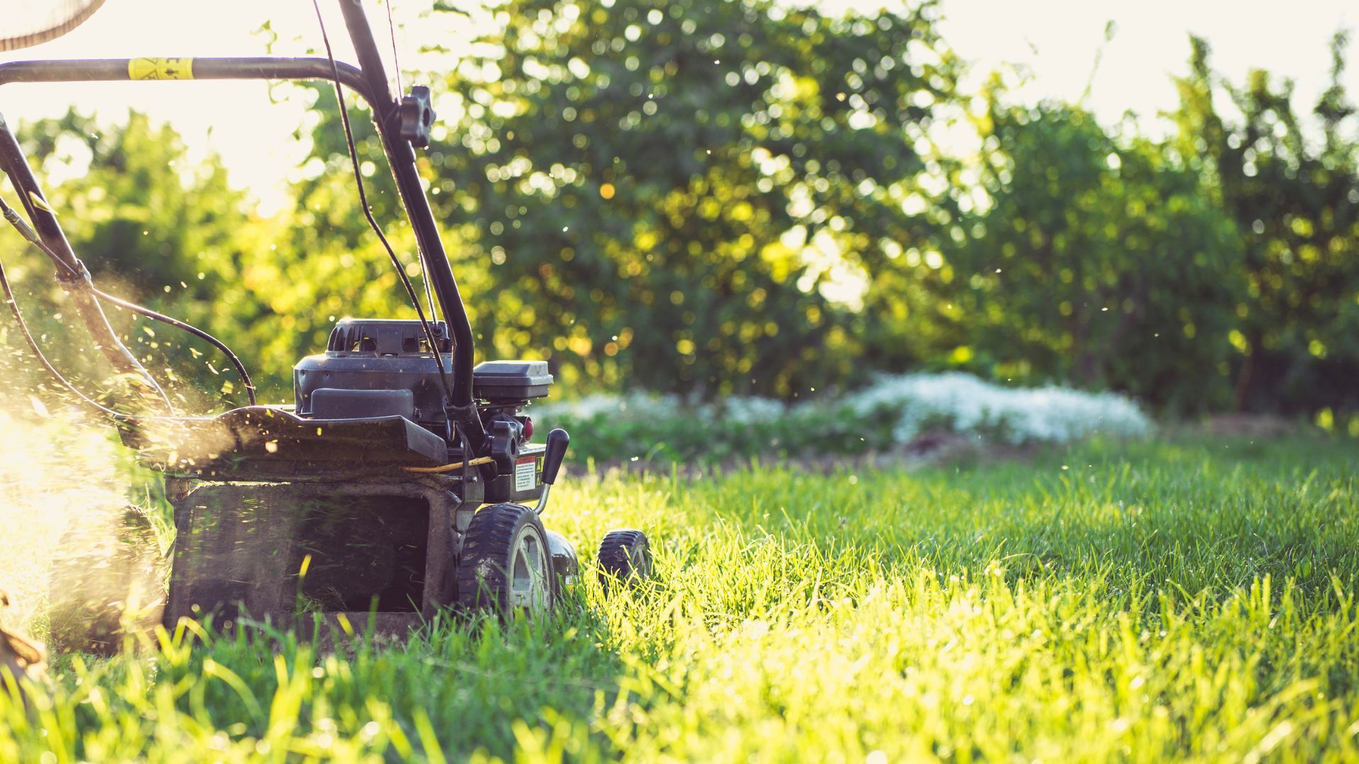 Design ohne Titel - 1