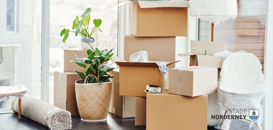 Das Foto zeigt eine Umzugssituation