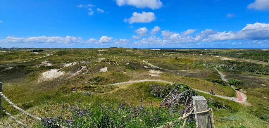 Das Bild zeigt die Dünenlandschaft im Inselosten